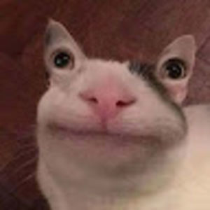 Meet your Posher, Yasemin